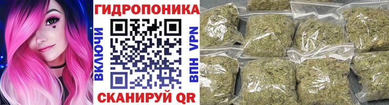 МЕГА маркетплейс  закладка  Волжск  Бошки марихуана планчик 